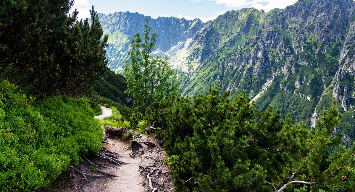Jaka koszulka w góry? Poradnik dla miłośników outdoorowych aktywności