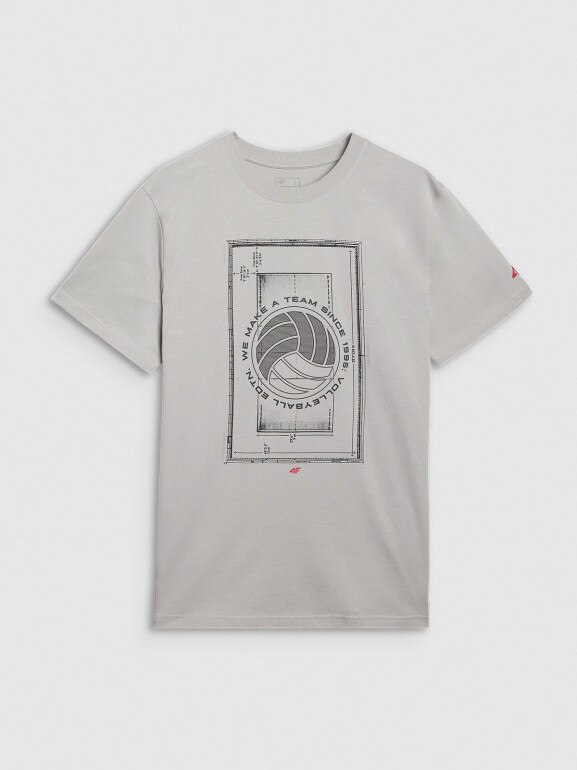 Męski t-shirt z nadrukiem 4F 4FRAW25TTSHM3236 - szary