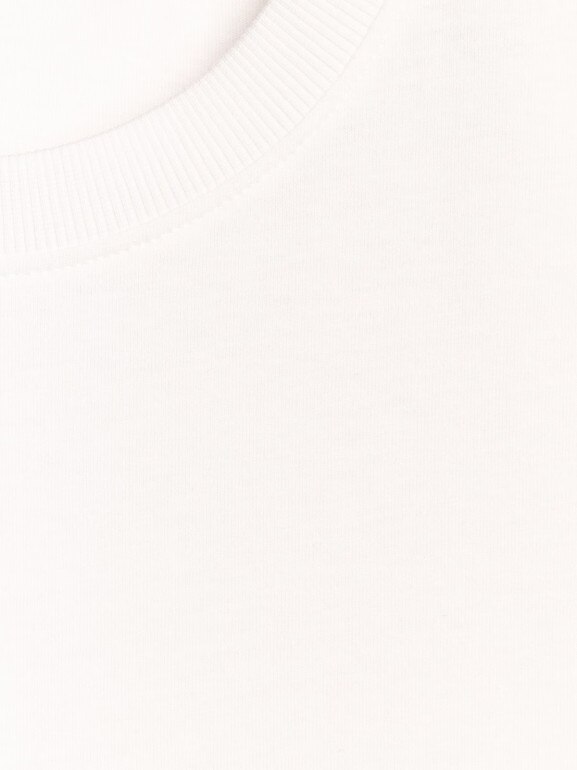 Męski t-shirt z nadrukiem 4F 4FRAW25TTSHM3237 - biały