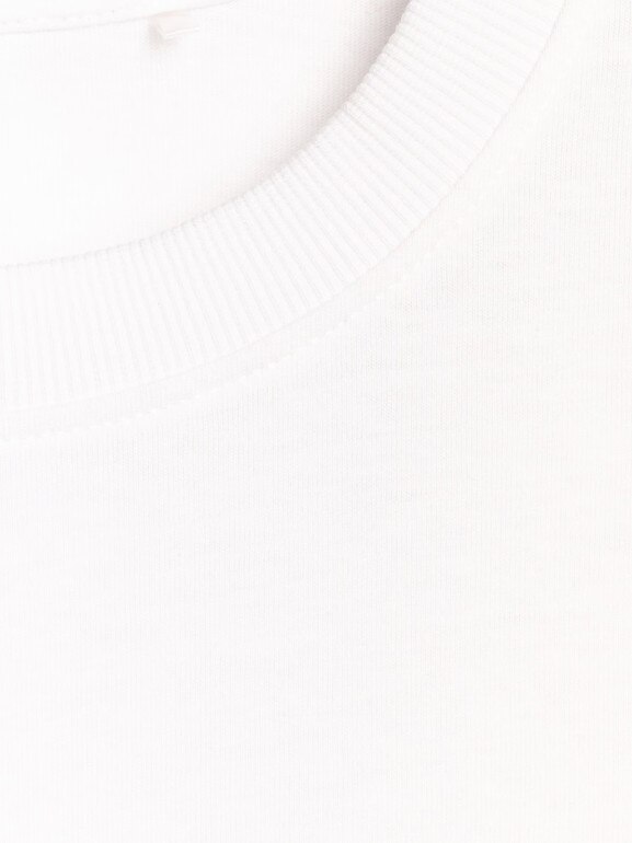 Męski t-shirt z nadrukiem 4F 4FRAW25TTSHM3298 - biały