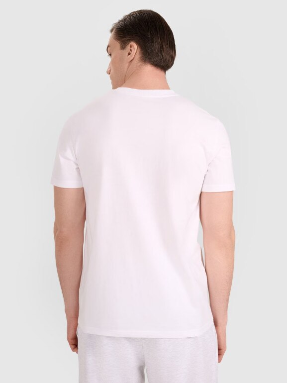 Męski t-shirt z nadrukiem 4F 4FRAW25TTSHM3318 - biały