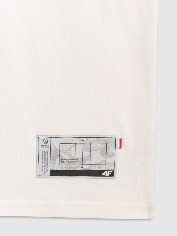 Męski t-shirt z nadrukiem 4F 4FRAW25TTSHM3319 - biały
