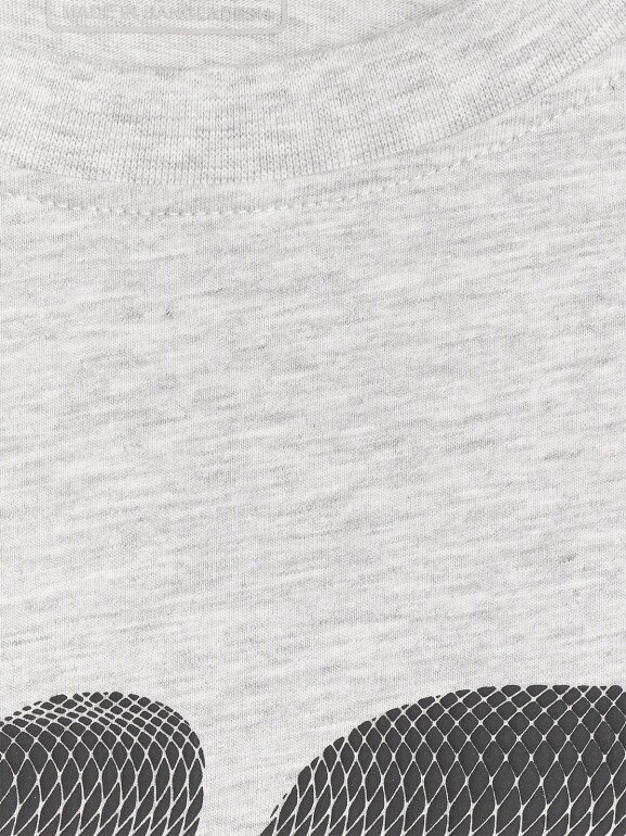 Męski t-shirt z nadrukiem 4F 4FRMM00TTSHM3251 - szary