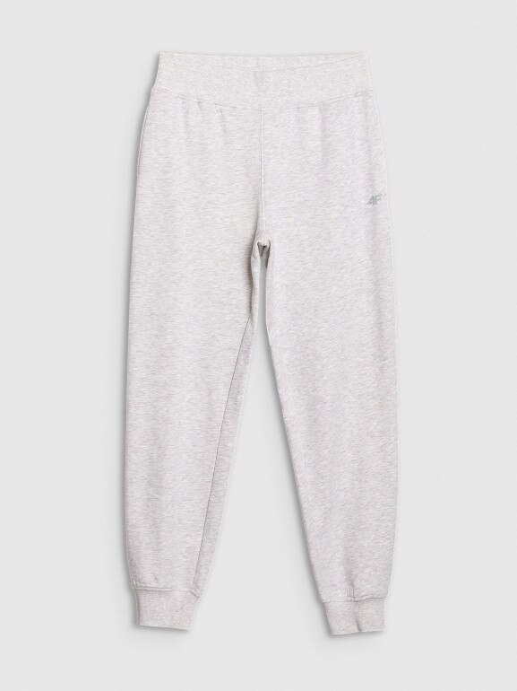 Damskie spodnie dresowe joggery 4F 4FWMM00TTROF1386 - szare