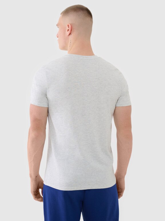 Męski t-shirt basic 4F 4FWMM00TTSHM2657 - szary
