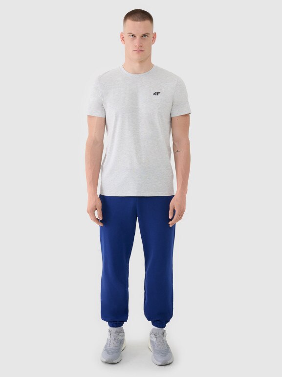 Męski t-shirt basic 4F 4FWMM00TTSHM2657 - szary