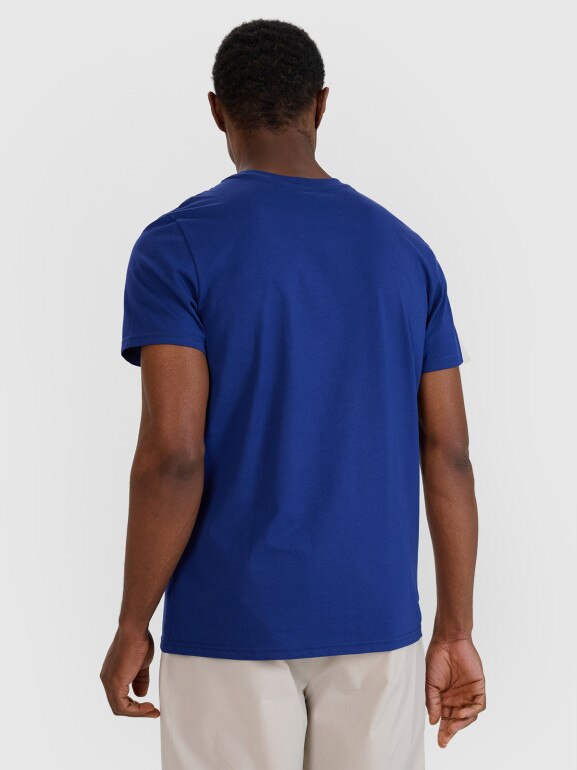 Męski t-shirt basic 4F 4FWMM00TTSHM2657 - niebieski