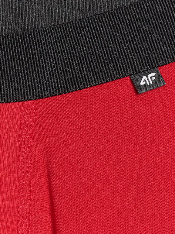 Męskie bokserki (2-pack) 4F 4FWMM00UBXSM059 - multikolor