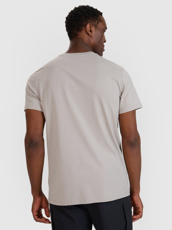 Męski t-shirt z nadrukiem 4F 4FWSS25TTSHM2209 -szary