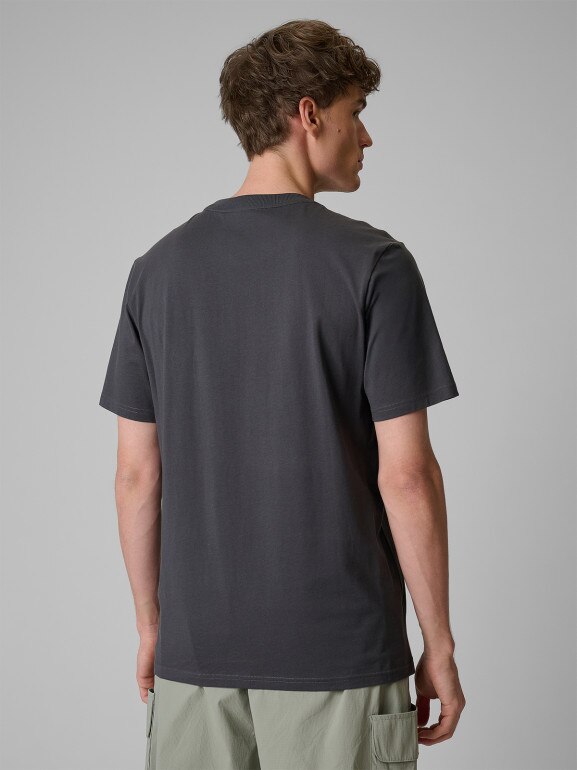 Męski t-shirt z nadrukiem 4F 4FWSS26TTSHM2823 - szary