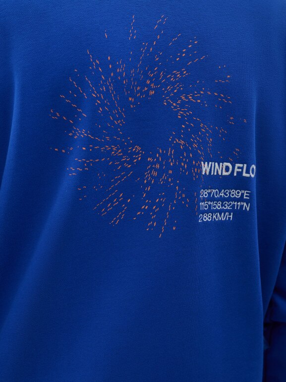 Bluza dresowa nierozpinana z kapturem męska 4F 4FWSS25TSWSM1749 - niebieska