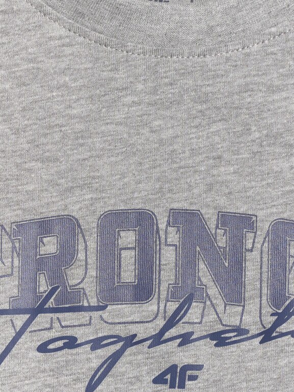 Chłopięcy t-shirt z nadrukiem 4F 4FJRSS26TTSHM3465 - szary