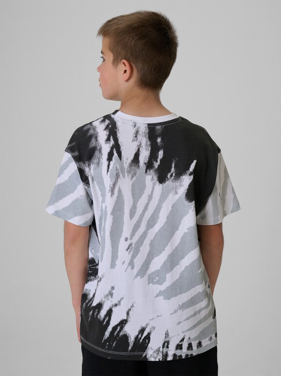 Chłopięcy t-shirt z nadrukiem 4F 4FJRSS26TTSHM4173 - szary