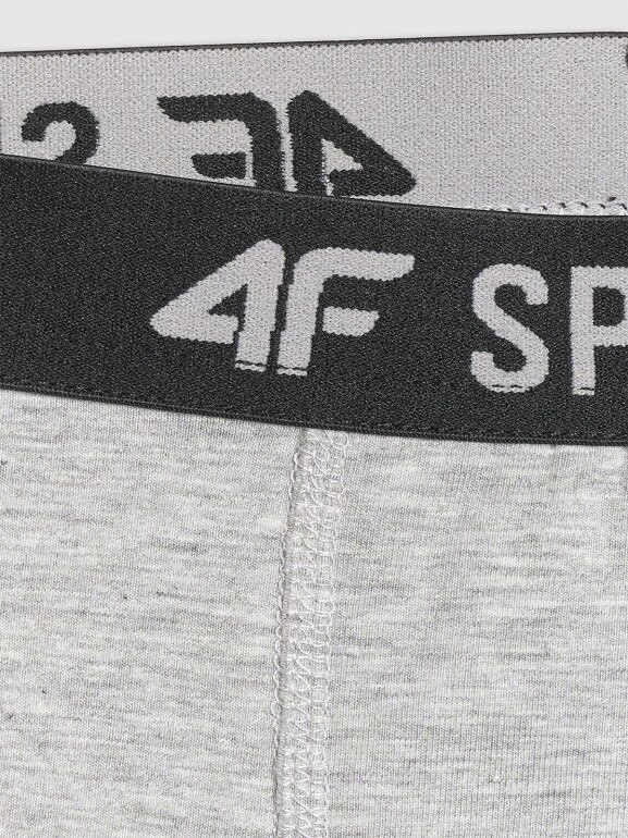Chłopięce bokserki (3-pack) 4F 4FJRSS26UBXSM094 - multikolor