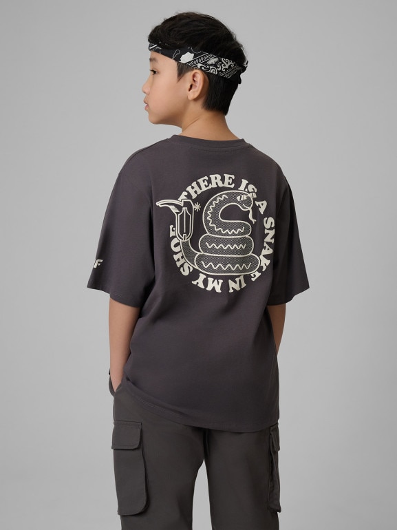 Chłopięcy t-shirt z nadrukiem 4F 4FJWSS26TTSHM2813 - szary