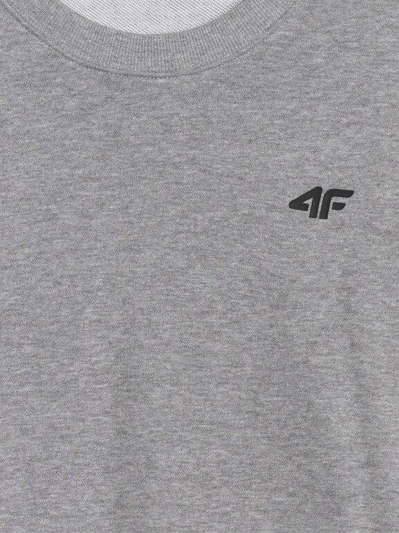 Męska bluza dresowa nierozpinana bez kaptura 4F 4FRMM00TSWSM2478 - szara