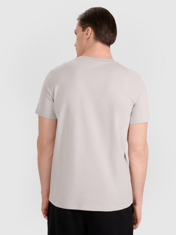 Męski t-shirt z nadrukiem 4F 4FRAW25TTSHM3318 - szary
