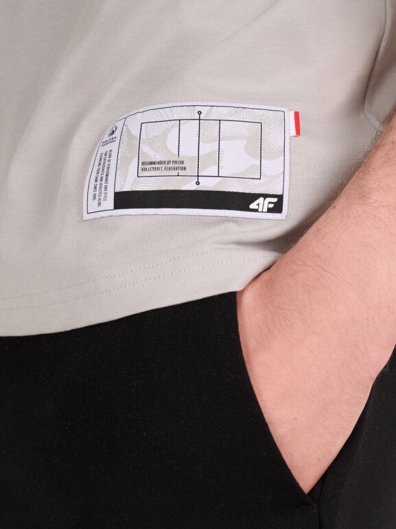 Męski t-shirt z nadrukiem 4F 4FRAW25TTSHM3318 - szary