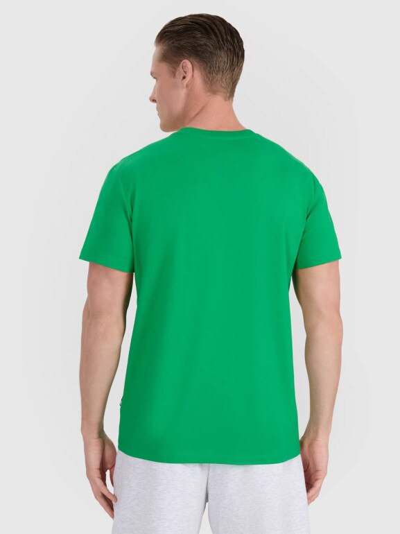 Męski t-shirt z nadrukiem 4F 4FRSS25TTSHM2854 - zielony