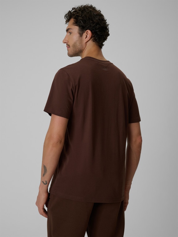 Męski t-shirt z nadrukiem 4F 4FRSS26TTSHM4230 - brązowy