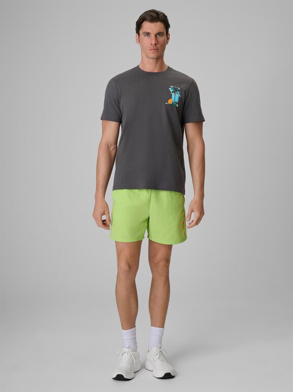 Męski t-shirt z nadrukiem 4F 4FRSS26TTSHM4301 - szary