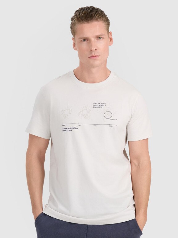 Męski t-shirt z nadrukiem 4F 4FWSS25TTSHM1982 - szary
