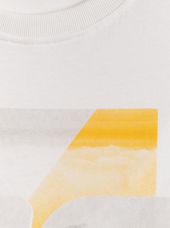 Męski t-shirt z nadrukiem 4F 4FWSS26TTSHM2660 - biały