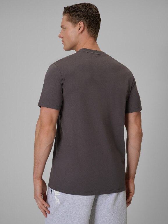 Męski t-shirt z nadrukiem 4F 4FWSS26TTSHM2660 - szary