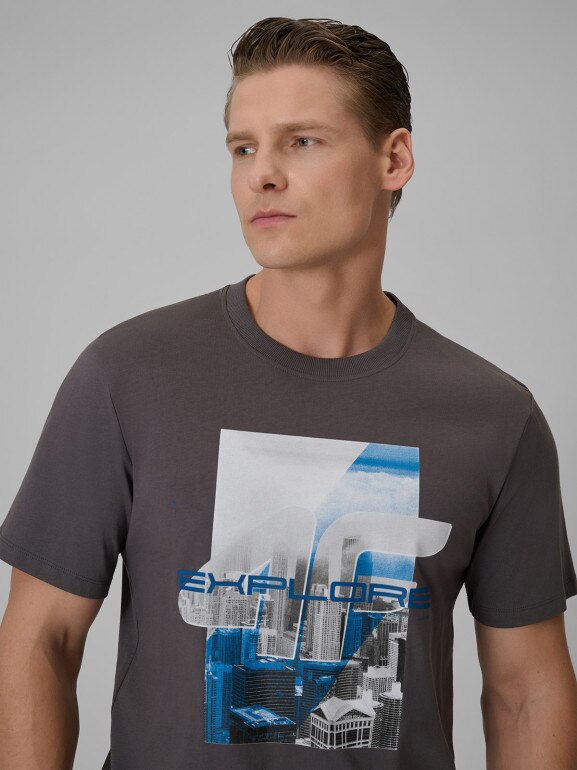 Męski t-shirt z nadrukiem 4F 4FWSS26TTSHM2660 - szary