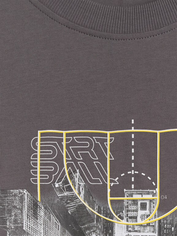 Męski t-shirt z nadrukiem 4F 4FWSS26TTSHM2664 - szary