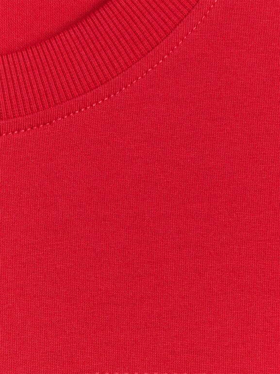 Męski t-shirt z nadrukiem 4F 4FWSS26TTSHM2666 - czerwony