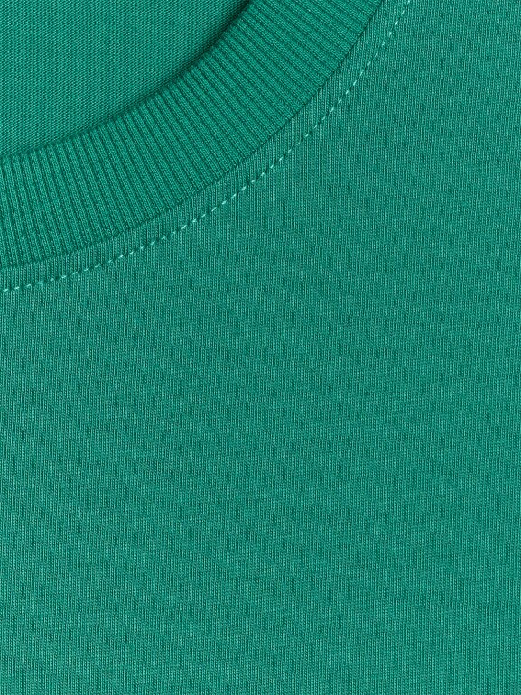 Męski t-shirt z nadrukiem 4F 4FWSS26TTSHM2666 - zielony