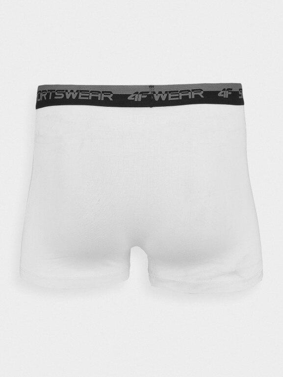 Męskie bokserki (2-pack) 4F 4FWMM00UBXSM051 - białe