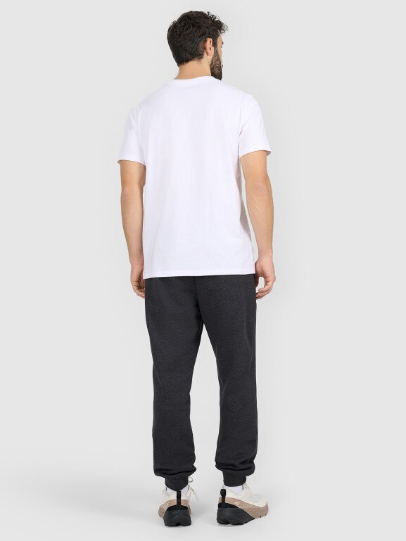 Męskie spodnie dresowe joggery 4F 4FRAW25TTROM1696 - szare