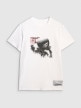 Męski t-shirt z nadrukiem 4F 4FRAW25TTSHM3235 - biały