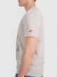 Męski t-shirt z nadrukiem 4F 4FRAW25TTSHM3236 - szary