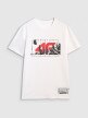 Męski t-shirt z nadrukiem 4F 4FRAW25TTSHM3298 - biały
