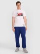 Męski t-shirt z nadrukiem 4F 4FRAW25TTSHM3298 - biały
