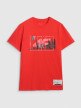 Męski t-shirt z nadrukiem 4F 4FRAW25TTSHM3298 - czerwony
