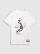 Męski t-shirt z nadrukiem 4F 4FRAW25TTSHM3318 - biały