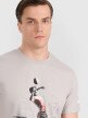 Męski t-shirt z nadrukiem 4F 4FRAW25TTSHM3318 - szary