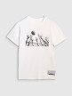 Męski t-shirt z nadrukiem 4F 4FRAW25TTSHM3319 - biały