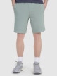 Męskie spodenki casual 4F 4FRSS25TSHOM746 - zielone