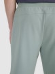 Męskie spodenki casual 4F 4FRSS25TSHOM746 - zielone