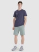 Męskie spodenki casual 4F 4FRSS25TSHOM746 - zielone