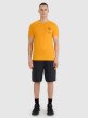 Męskie spodenki casual cargo 4F 4FRSS25TSHOM759 - czarne