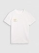 Męski t-shirt z nadrukiem 4F 4FRSS25TTSHM2848 - biały