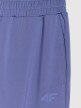 Damskie spodnie treningowe 4F 4FWAW25TFTRF0934 - granatowe