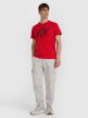 mini: Męski t-shirt z nadrukiem 4F 4FWAW25TTSHM3133 - czerwony (2)