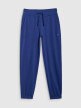 Damskie spodnie dresowe joggery 4F 4FWMM00TTROF1138 - granatowe